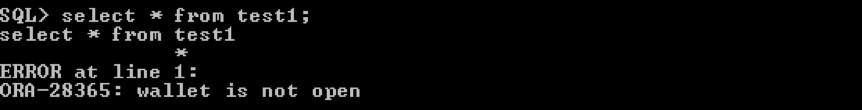 স্বচ্ছ ডেটা এনক্রিপশন ব্যবহার করে একটি ওরাকল ডাটাবেস সুরক্ষিত করুন 