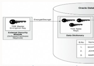 স্বচ্ছ ডেটা এনক্রিপশন 