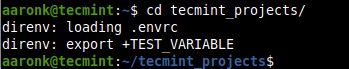 Direnv - লিনাক্সে প্রকল্প-নির্দিষ্ট পরিবেশের ভেরিয়েবল পরিচালনা করুন 