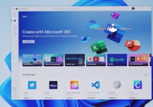 Windows 11
