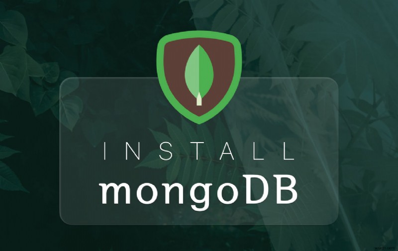 কিভাবে সহজে এবং দ্রুত ম্যাকে MongoDB ইনস্টল করবেন 