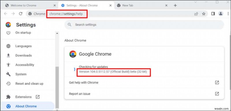 আমার কাছে Google Chrome এর কোন সংস্করণ আছে?