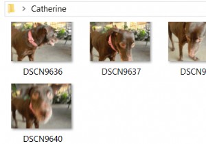 উইন্ডোজ 10 ব্যবহার করে ফটোগুলিকে কীভাবে বাল্ক রিসাইজ করবেন 