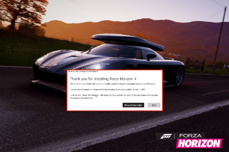 Windows 10-এ Forza Horizon 4 FH001 ঠিক করুন 