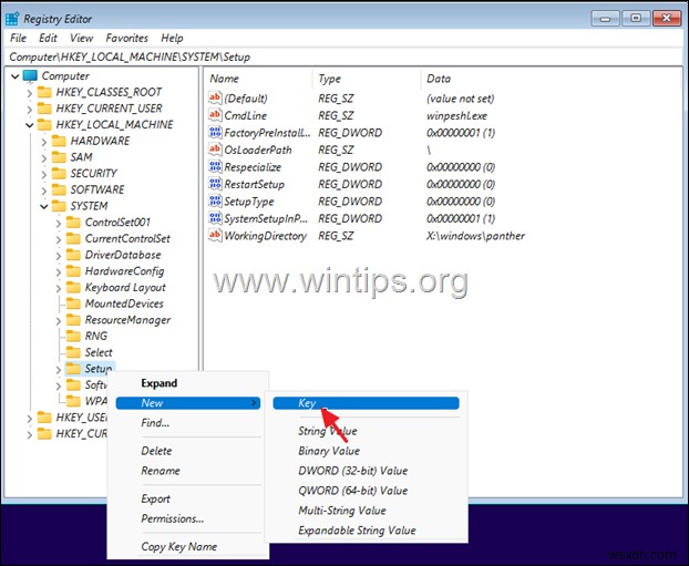 কিভাবে TPM v1.2 ডিভাইসে USB থেকে Windows 11 ইনস্টল করবেন।