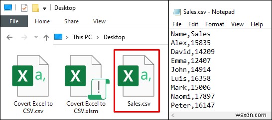 এক্সেলকে কমা সীমাবদ্ধ CSV ফাইলে রূপান্তর করুন (2টি সহজ উপায়)