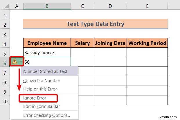 Excel এ ডেটা এন্ট্রির প্রকার (একটি দ্রুত ওভারভিউ)