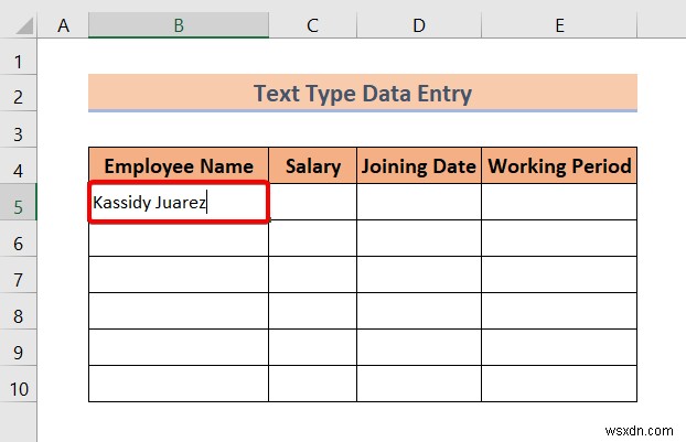 Excel এ ডেটা এন্ট্রির প্রকার (একটি দ্রুত ওভারভিউ)