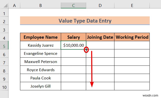 Excel এ ডেটা এন্ট্রির প্রকার (একটি দ্রুত ওভারভিউ)