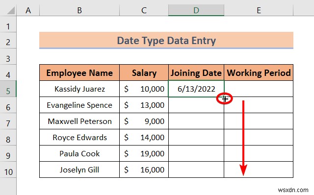 Excel এ ডেটা এন্ট্রির প্রকার (একটি দ্রুত ওভারভিউ)