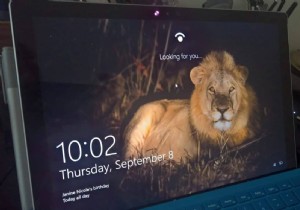 Windows 11