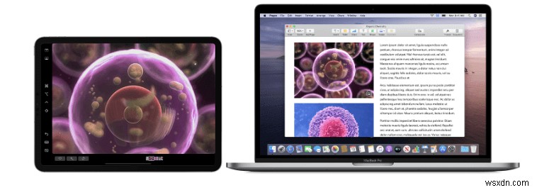 14 সাধারণ macOS Catalina সমস্যা এবং তাদের দ্রুত সমাধান