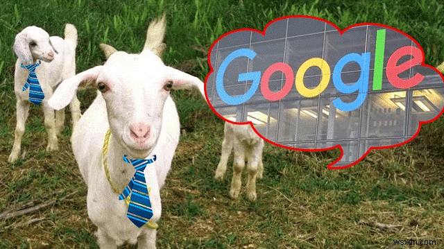 শুভ ২১তম জন্মদিন Google! 21টি পাগলের ঘটনা জানুন!