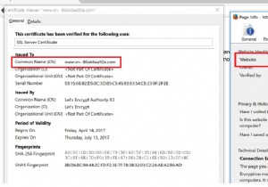 একটি নতুন কৌশল যা হ্যাকারদের তাদের ফিশিং ইউআরএল লুকিয়ে রাখতে দেয়
