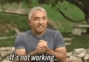 Gboard GIF কাজ করছে না এর জন্য পাঁচটি সমাধান