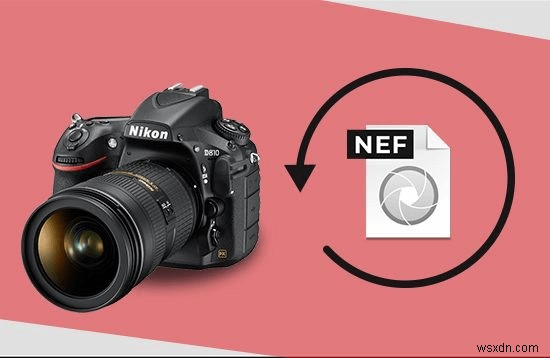 কীভাবে একটি Nikon ক্যামেরা থেকে মুছে ফেলা ফটোগুলি পুনরুদ্ধার করবেন