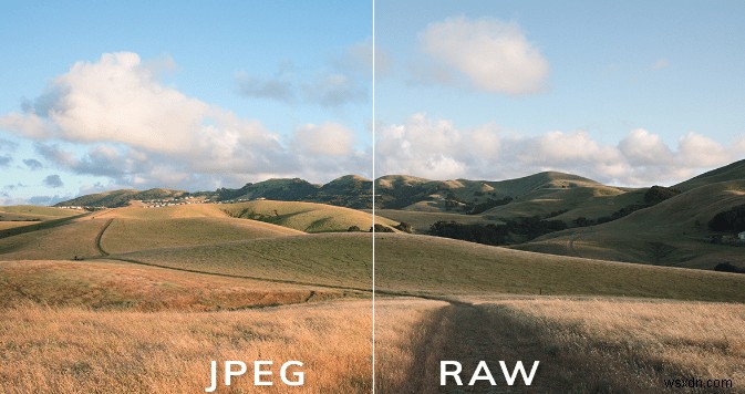 RAW বনাম JPEG:কোনটি সেরা এবং কেন?