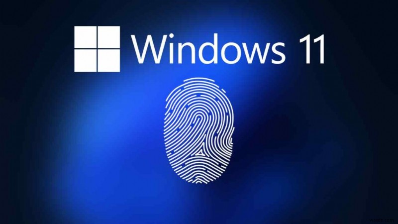 FIX:Windows 11 এ PIN সেট করতে অক্ষম (ত্রুটির কোড 0xd000a002)