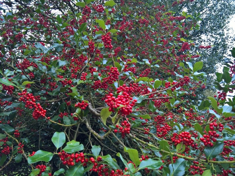 মটোরোলা ওয়ান জুম - দ্য লুমিয়া মৃত, দীর্ঘজীবী এক