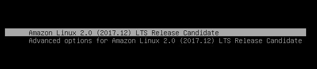 Amazon Linux 2 - কে আমার পনির ঠকালো?