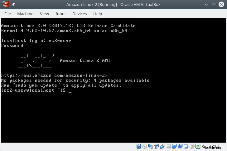 Amazon Linux 2 - কে আমার পনির ঠকালো?