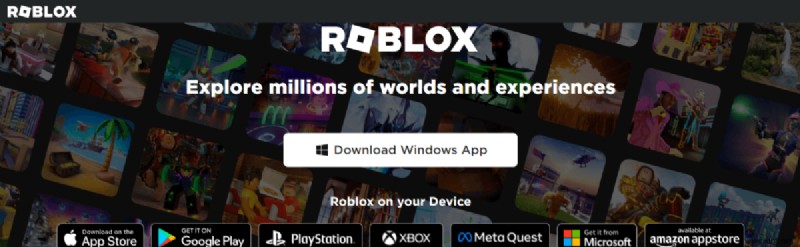 Roblox  অপ্রত্যাশিত ত্রুটি ঘটেছে  ক্র্যাশ সমাধান করুন - ধাপে ধাপে সমাধান 