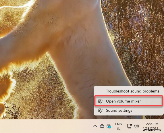 সাধারণ Windows 10/11 অডিও সমস্যা সমাধানের জন্য ধাপে ধাপে নির্দেশিকা 