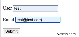 HTML ফর্ম অ্যাকশন অ্যাট্রিবিউট আয়ত্ত করা:একটি ধাপে ধাপে গাইড 
