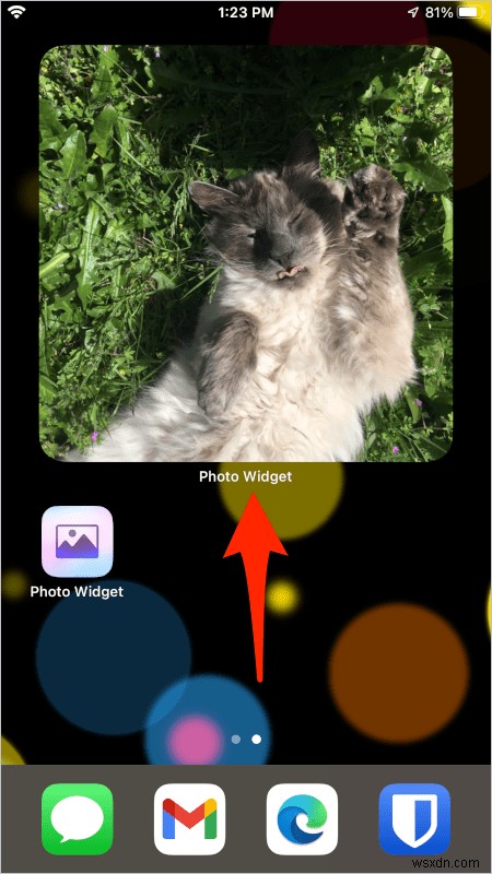 iOS ফটো উইজেট কাস্টমাইজ করা:হোম স্ক্রিনের জন্য আপনার প্রিয় ছবি নির্বাচন করুন 