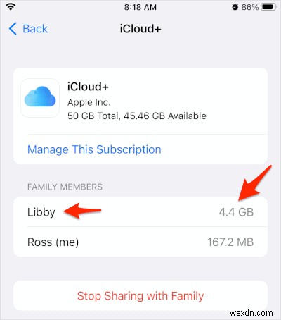 অনায়াসে বন্ধু এবং পরিবারের সাথে আপনার iCloud স্টোরেজ শেয়ার করুন 