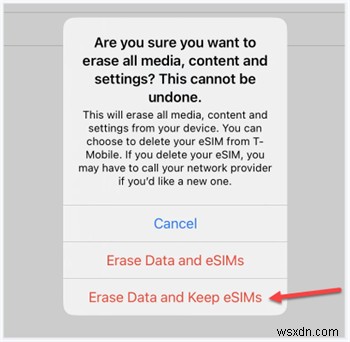 আপনার eSIM রাখার সময় আপনার iPhone রিসেট করুন:ধাপে ধাপে নির্দেশিকা 