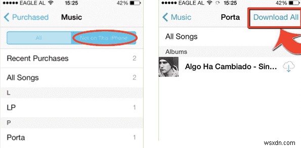 iCloud থেকে আপনার iPhone বা iPad এ MP3 ডাউনলোড করুন:2টি সহজ পদ্ধতি 