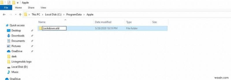 উইন্ডোজ 11, 10, 8, 7:6 সহজ সমাধানগুলিতে iTunes ত্রুটি 0xE80000A ঠিক করুন 