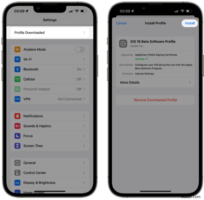 iOS 16/17/18 বিটা আপনার আইফোনে প্রদর্শিত হচ্ছে না? দ্রুত সমাধান এবং সমস্যা সমাধান