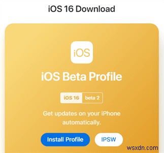 iOS 16/17/18 বিটা আপনার আইফোনে প্রদর্শিত হচ্ছে না? দ্রুত সমাধান এবং সমস্যা সমাধান