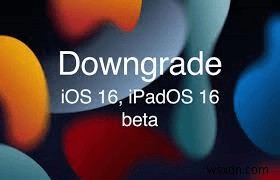 ধাপে ধাপে নির্দেশিকা:iPadOS 18 বিটা থেকে iPadOS 17-এ ডাউনগ্রেড করা