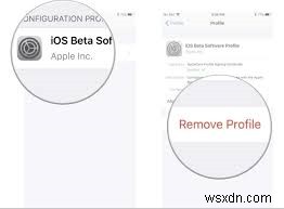 ধাপে ধাপে নির্দেশিকা:iPadOS 18 বিটা থেকে iPadOS 17-এ ডাউনগ্রেড করা