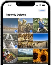 iOS 17.5 ফটো বাগ:কীভাবে স্থায়ীভাবে আইফোনে পুনরুত্থিত চিত্রগুলি মুছবেন 