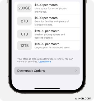 আপনার iCloud স্টোরেজ সাবস্ক্রিপশন বাতিল করার জন্য ধাপে ধাপে গাইড 