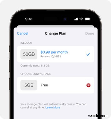আপনার iCloud স্টোরেজ সাবস্ক্রিপশন বাতিল করার জন্য ধাপে ধাপে গাইড 