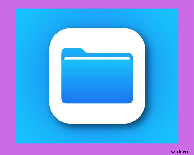 2026 আইফোনের জন্য সেরা iOS ফাইল পরিচালকদের নির্দেশিকা - আপডেট করা পর্যালোচনা 
