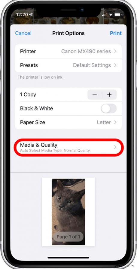 আপনার iCloud, iPhone, এবং Mac ফটোগুলি প্রিন্ট করুন:ধাপে ধাপে নির্দেশিকা৷ 