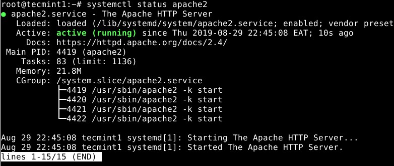 ডেবিয়ান 11 এবং 10 এ Zabbix ইনস্টল করার জন্য ধাপে ধাপে নির্দেশিকা 