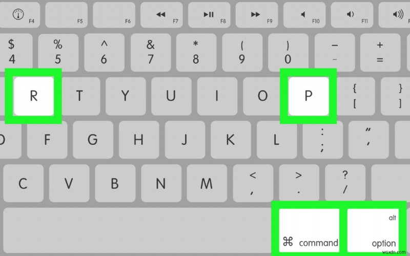 macOS Sequoia আপগ্রেড করার পরে হারিয়ে যাওয়া ফটোগুলি পুনরুদ্ধার করুন:ধাপে ধাপে নির্দেশিকা 