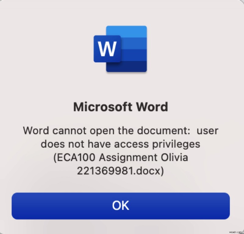 Windows এবং Mac-এ  Word can t Open Document  অ্যাক্সেসের বিশেষাধিকার সমস্যা ঠিক করুন 