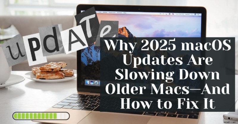 2025 macOS আপডেটের পরে আপনার ম্যাকের গতি পুনরুদ্ধার করুন - দ্রুত সমাধান 