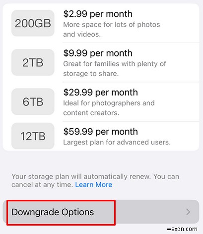 আপনার iCloud স্টোরেজ প্ল্যান সহজেই ডাউনগ্রেড বা বাতিল করুন:একটি ধাপে ধাপে নির্দেশিকা 