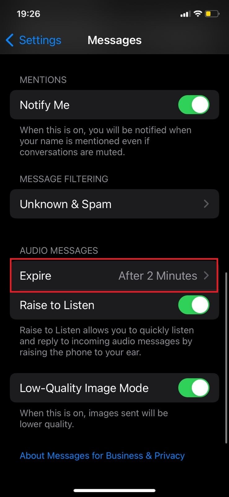iMessage এ  একটি অডিও বার্তা রাখা  বোঝা:এর অর্থ কী এবং এটি কোথায় যায় 