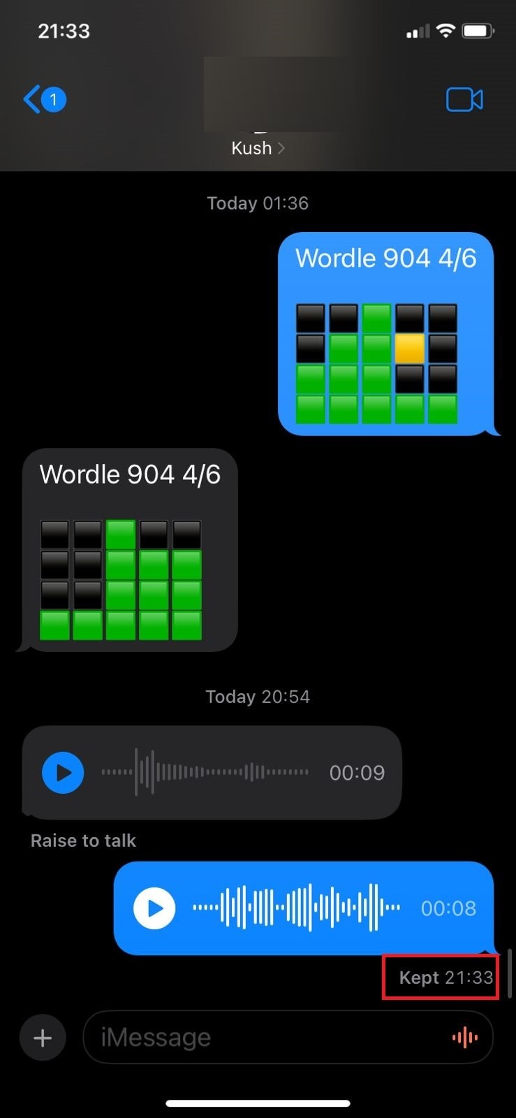 iMessage এ  একটি অডিও বার্তা রাখা  বোঝা:এর অর্থ কী এবং এটি কোথায় যায় 