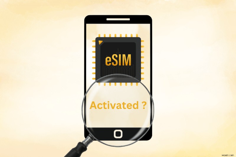 iPhone 13 এবং 14-এ eSIM অ্যাক্টিভেশন যাচাই করুন:দ্রুত এবং সহজ পদক্ষেপ 